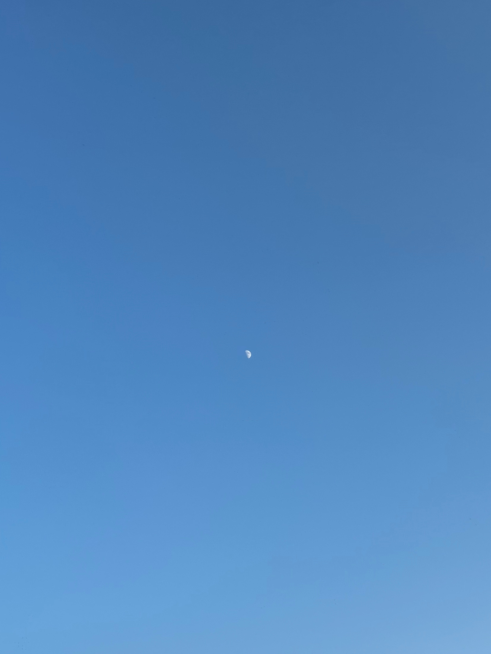 每个进我微卜的人都有种无处下脚的感觉好满足、 