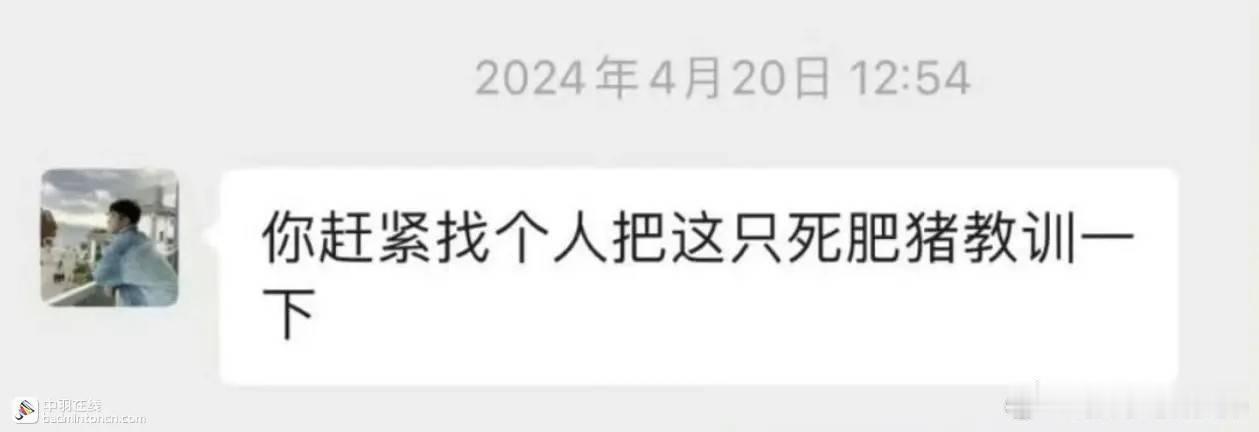 羽协张军被查何济霆梦想成真张军涉嫌严重违纪违法