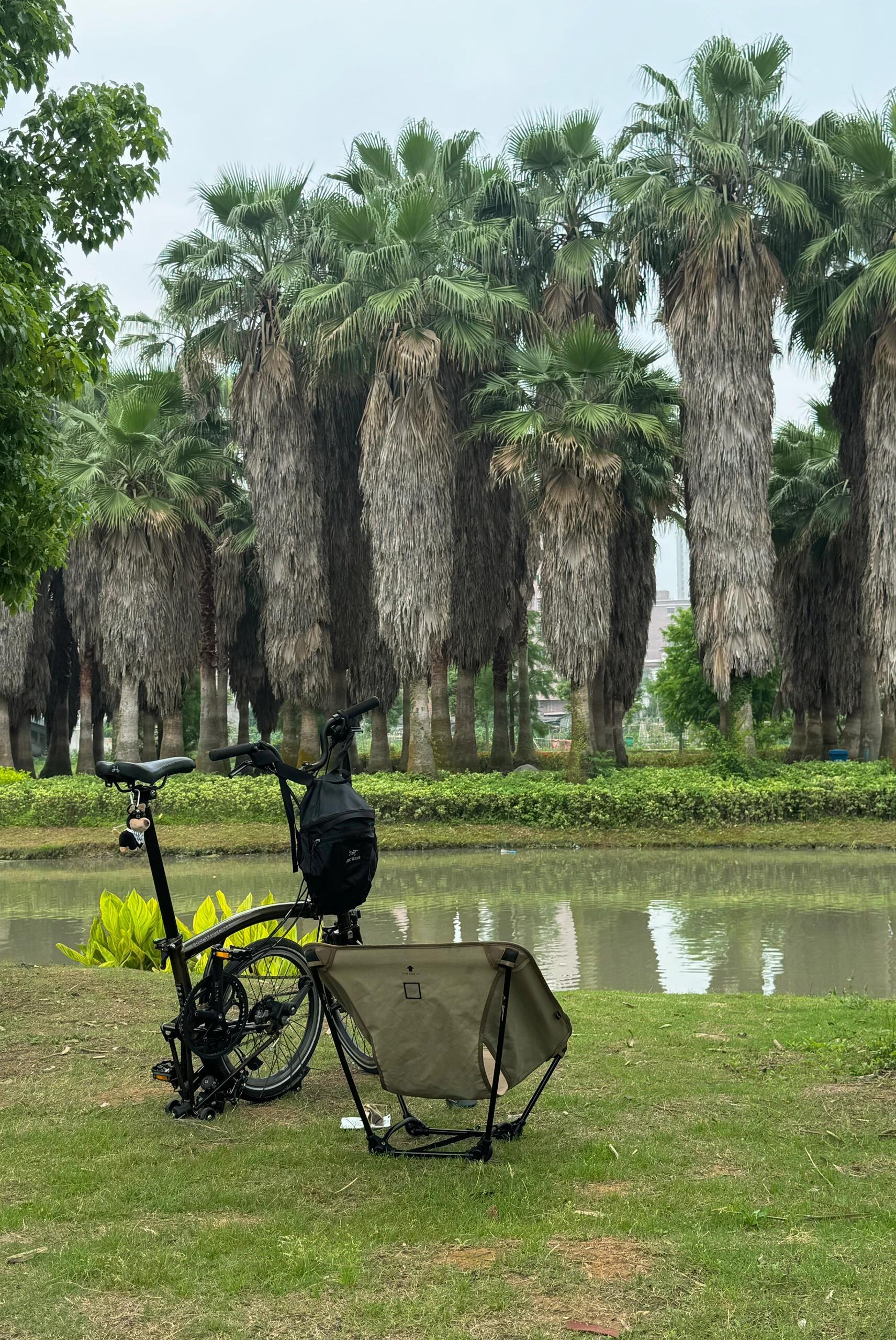 能量低的时候更需要植物的力量不知道为什么，每次出门骑行，脚下的最终点都会是公园，