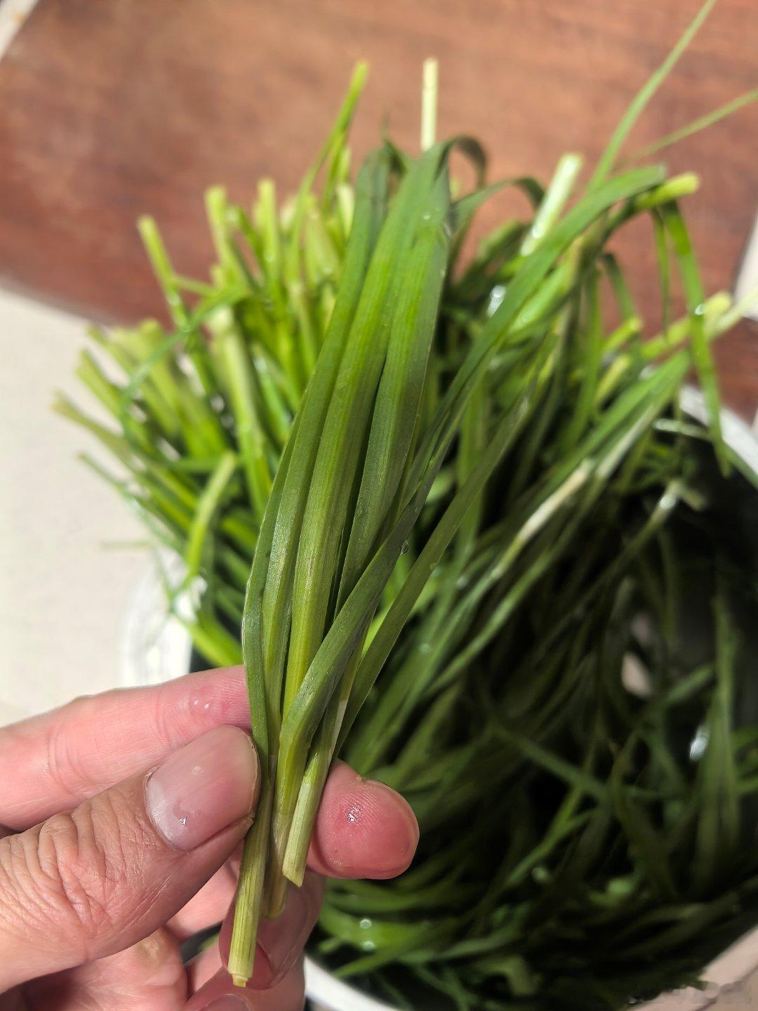 昨天我在山脚下找老表买的韭菜，和大棚的比起来真是又细又矮，但比大棚的香的多。所以