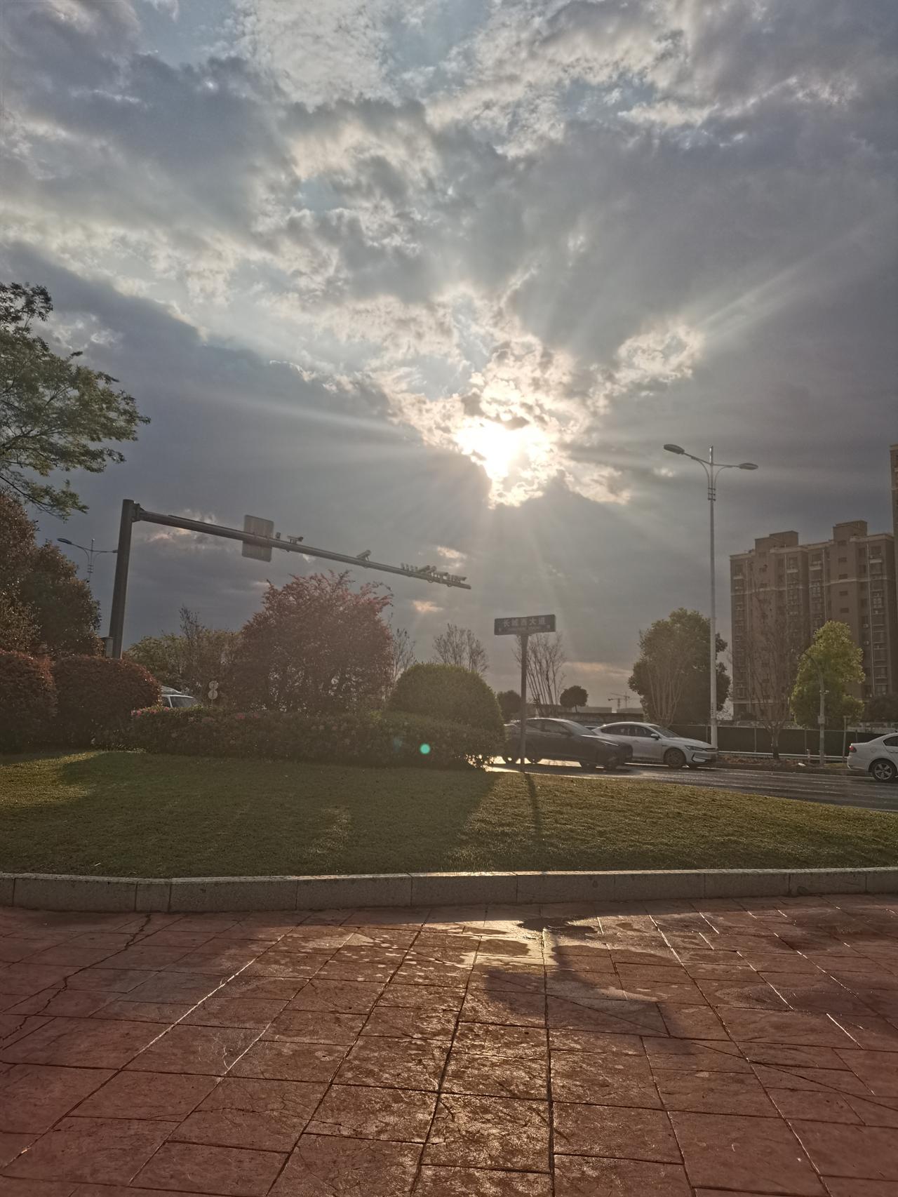 天气预报真不能信，明明预报今日有雨，送完孩子上学回来路上，太阳竟然出来了！那个欣