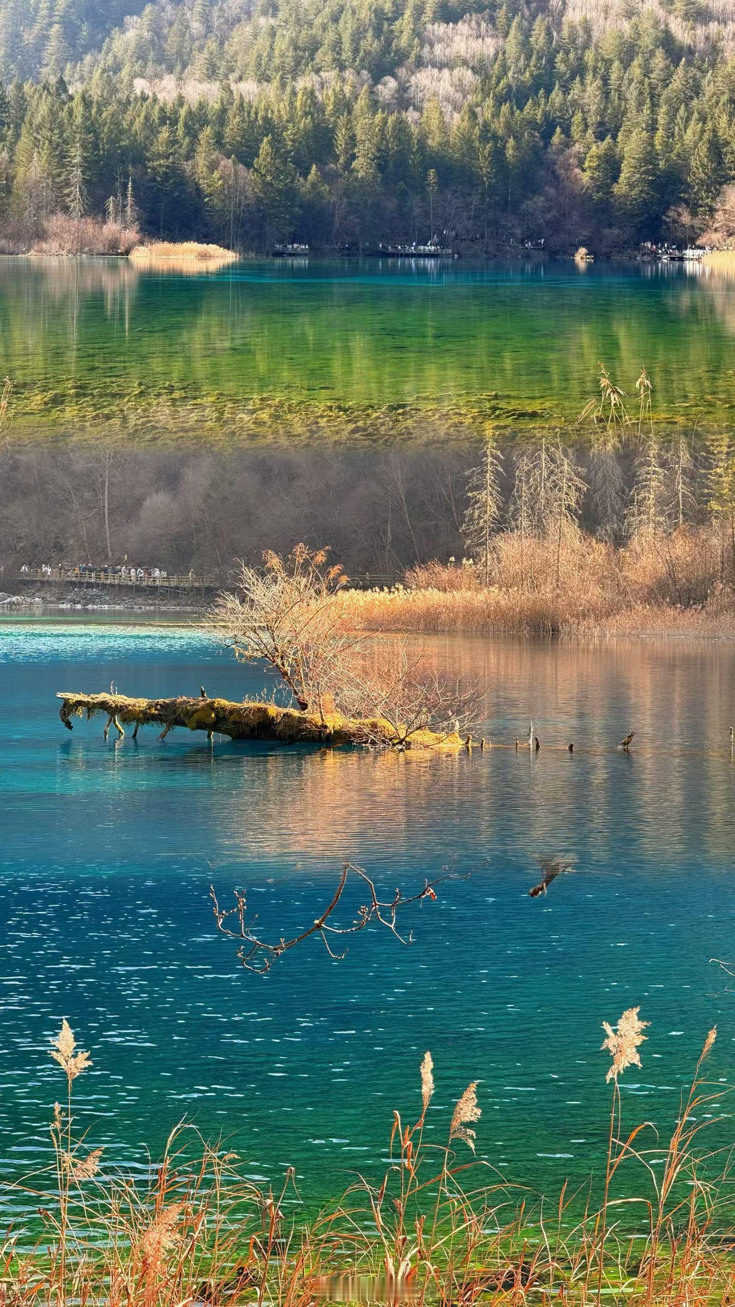 时光或许周而复始，但每天都能活出独特的精彩。愿每一份努力都不被辜负，每一个梦想都