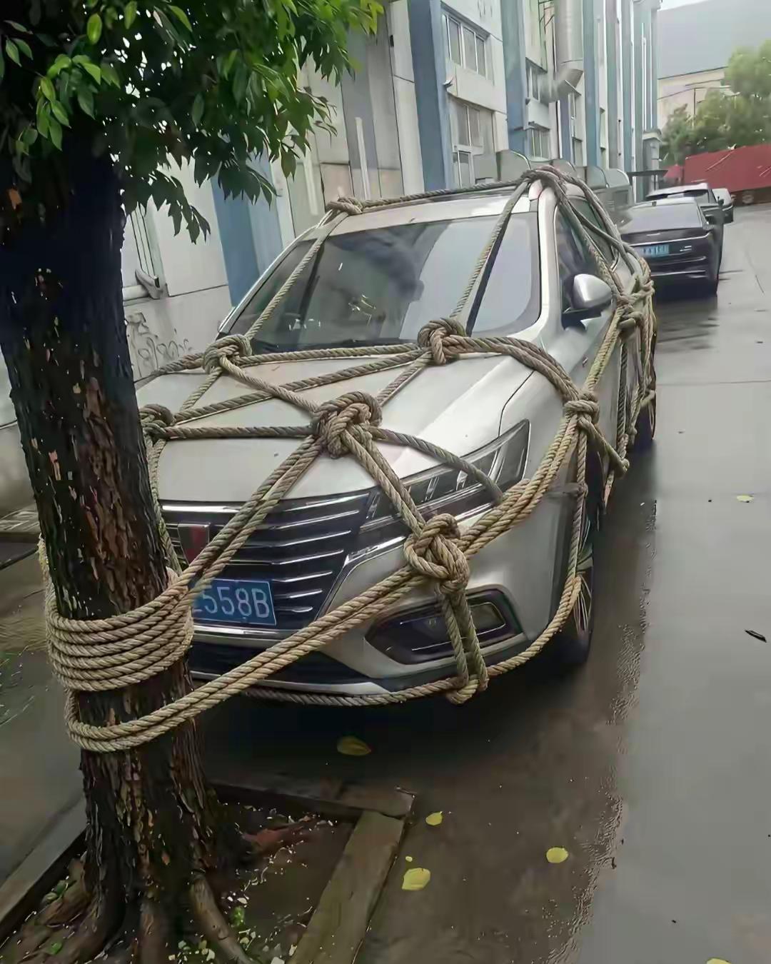 保险公司，应该给车主发一个特等奖！