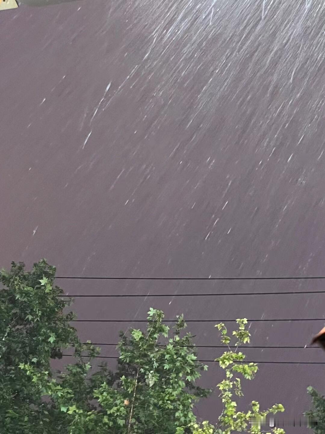 我的人生迄今最冷的冬天是女朋友陪我度过的
妈妈离开的时候刚好是深秋和初冬的交界点