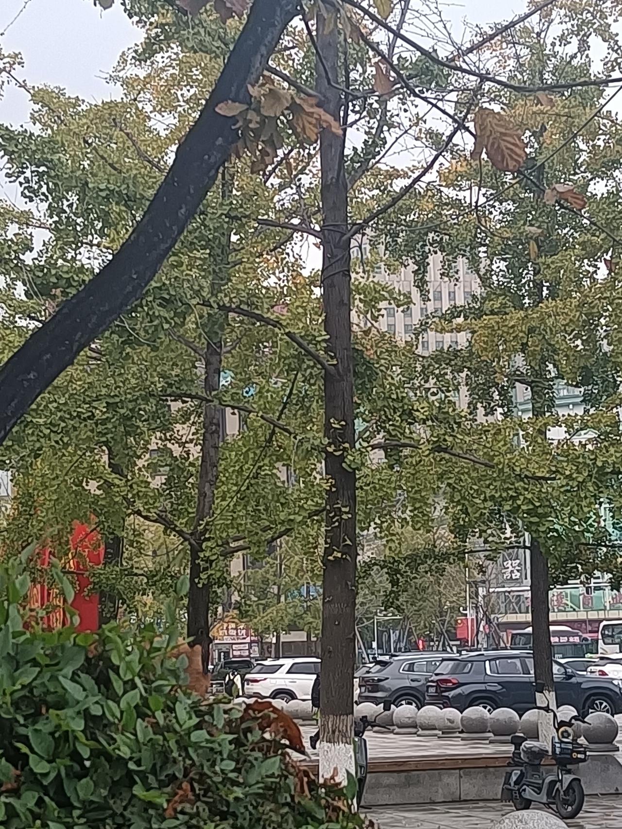 名利在健康面前一文不值。

老公今天白天还好好的，晚饭还喝了2两白酒。临睡觉忽然
