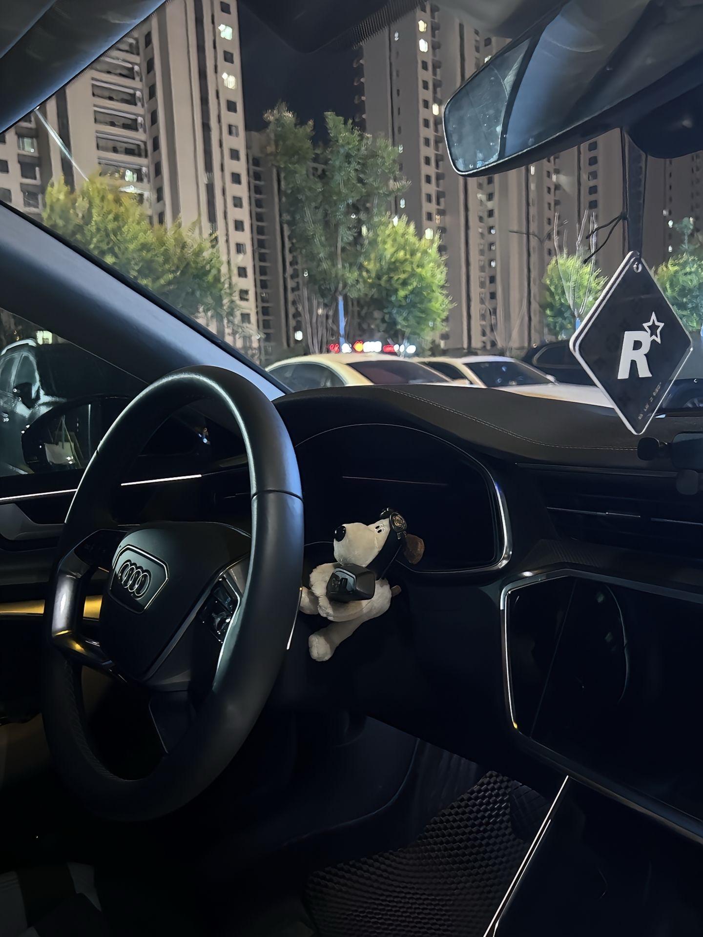 兄弟姐妹们 好可爱的小狗，放在车上真好看怀挡装饰