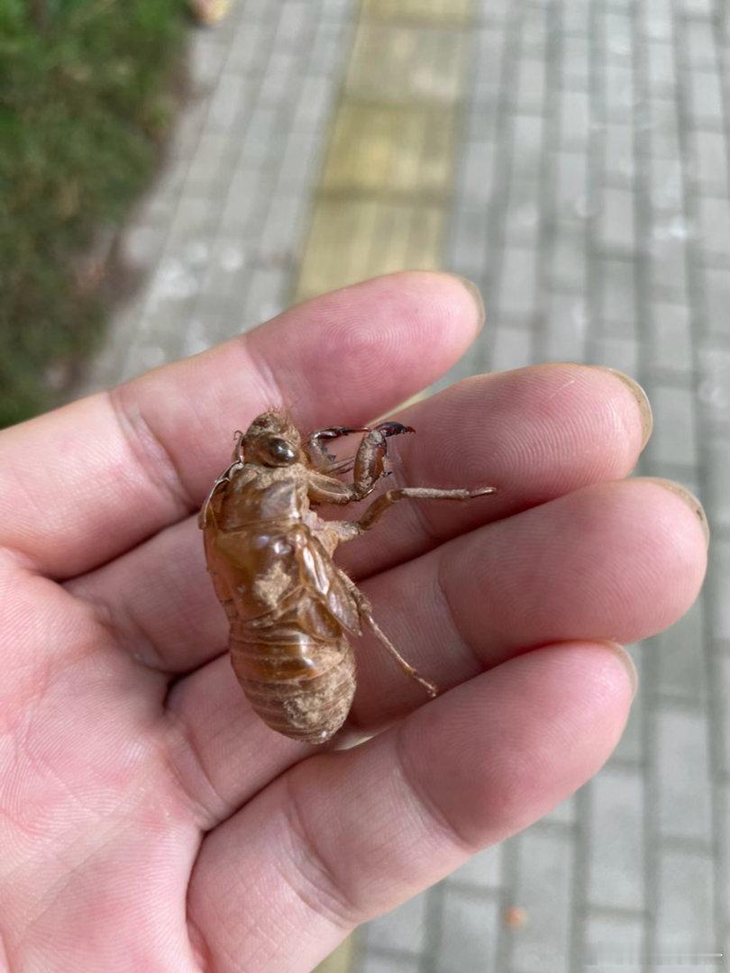 亓纪的想法[超话]  夏天 ​​​