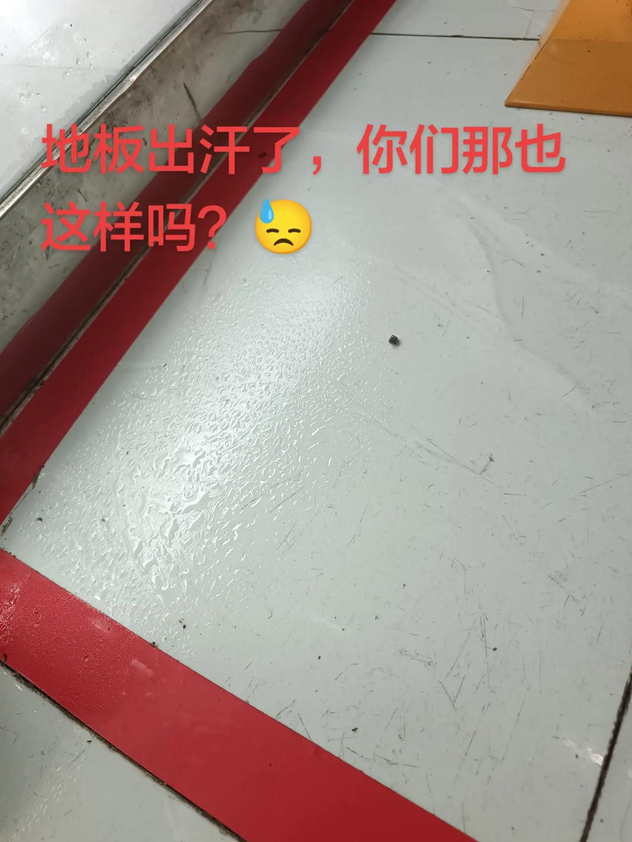 好潮好潮
