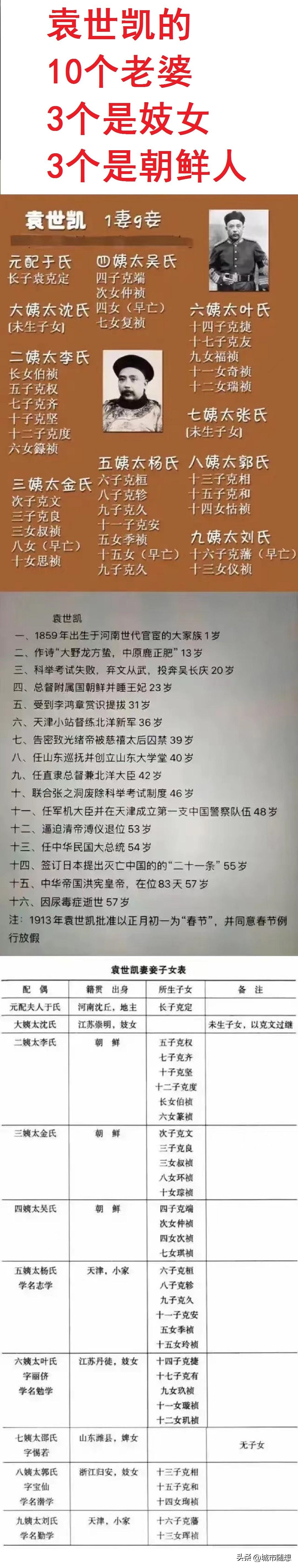 第一个韩国人（姓李）：是袁世凯的老婆；
第二个韩国人（姓金）：是袁世凯的老婆；
