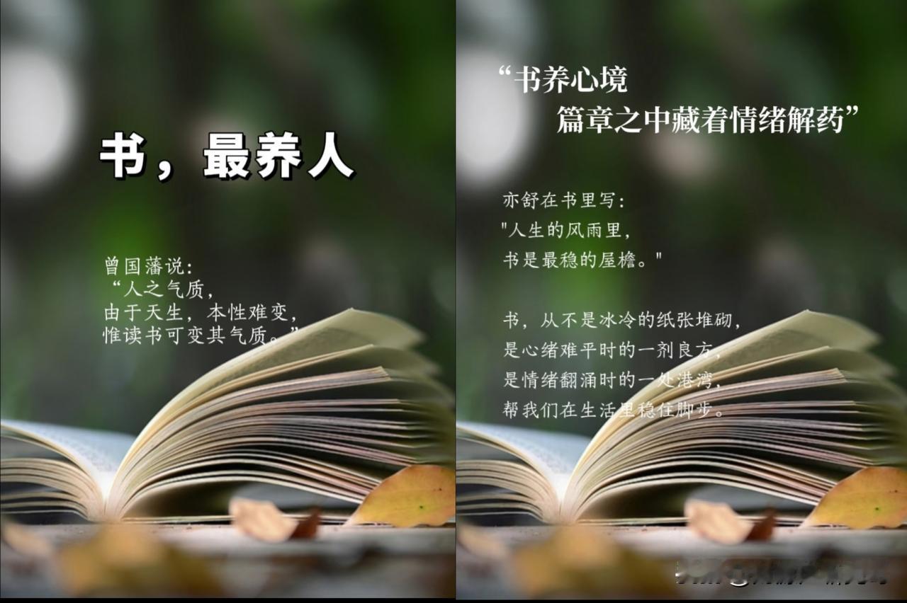 读书
是给灵魂装一双“不死”的眼睛。
不必困于方寸之地，
便能借文字见天地——见
