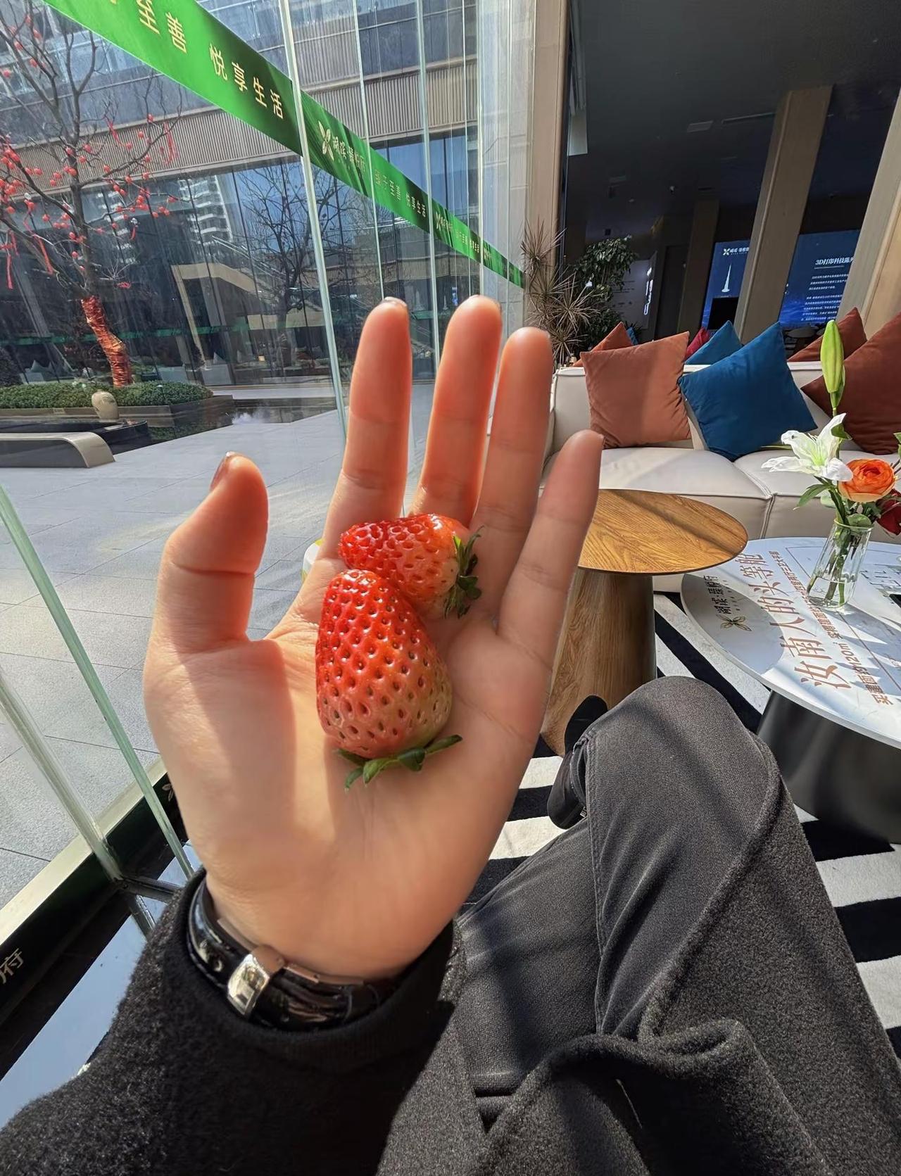 突然觉得世界好割裂，地球的另一边炮火纷飞，有人在废墟里求生，有人在黑暗中等天亮，