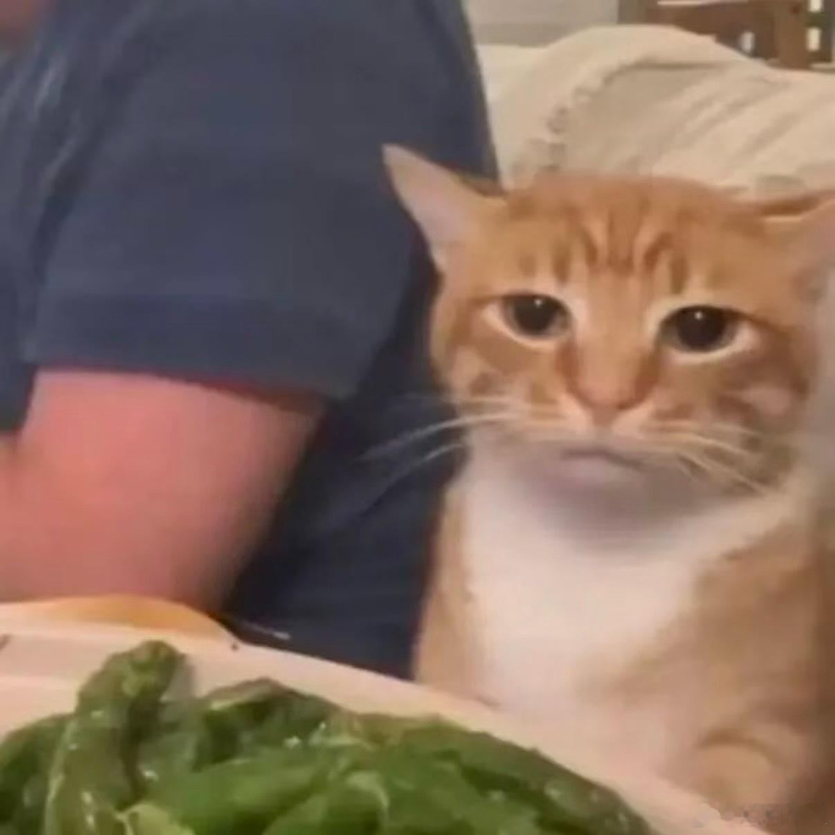 百万网红自曝月收入5千其实也正常，很多客户选合作博主也不看粉丝量是否多。主要还是