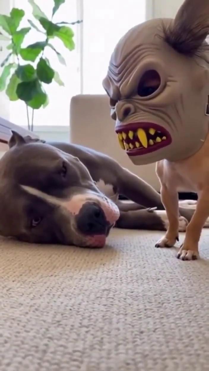 ·1、hahaha。
·2、tin。
·3、oh my god of your 