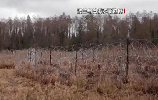 波白边境的深夜本就透着几分肃穆，可11号这天一段藏在树林里的隧道让这里的气氛瞬间