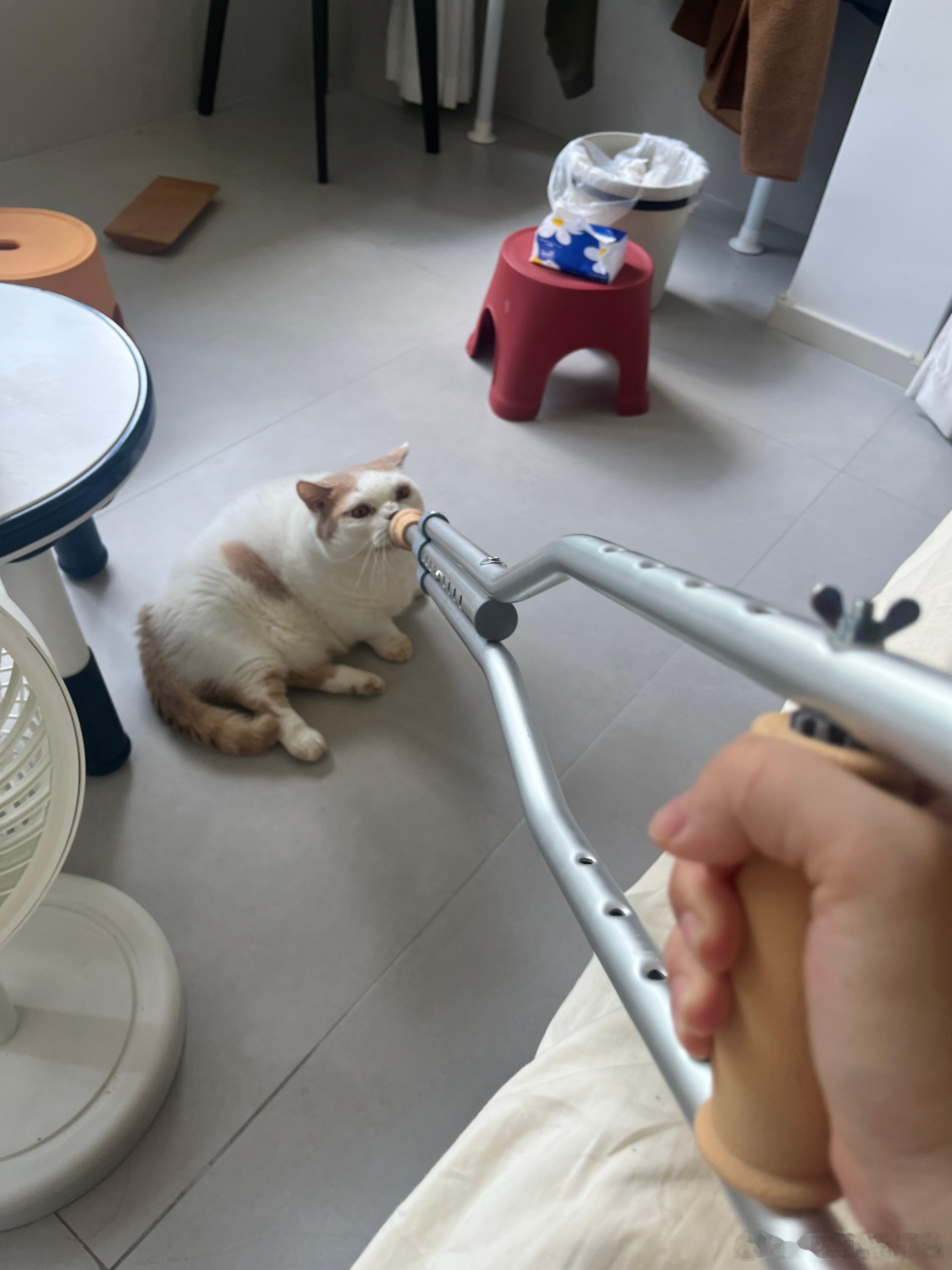 你滴，悄悄滴，打枪滴不要 