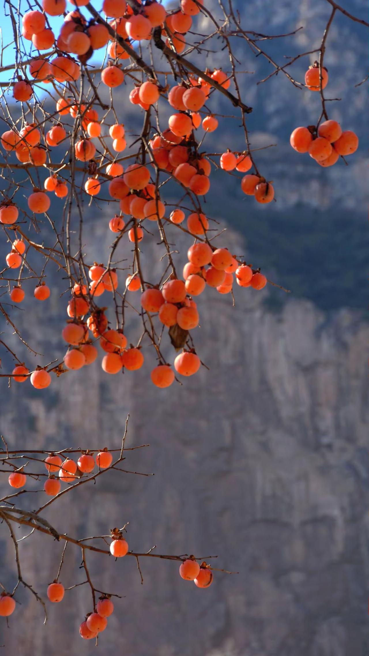 记录•太行一日摄影