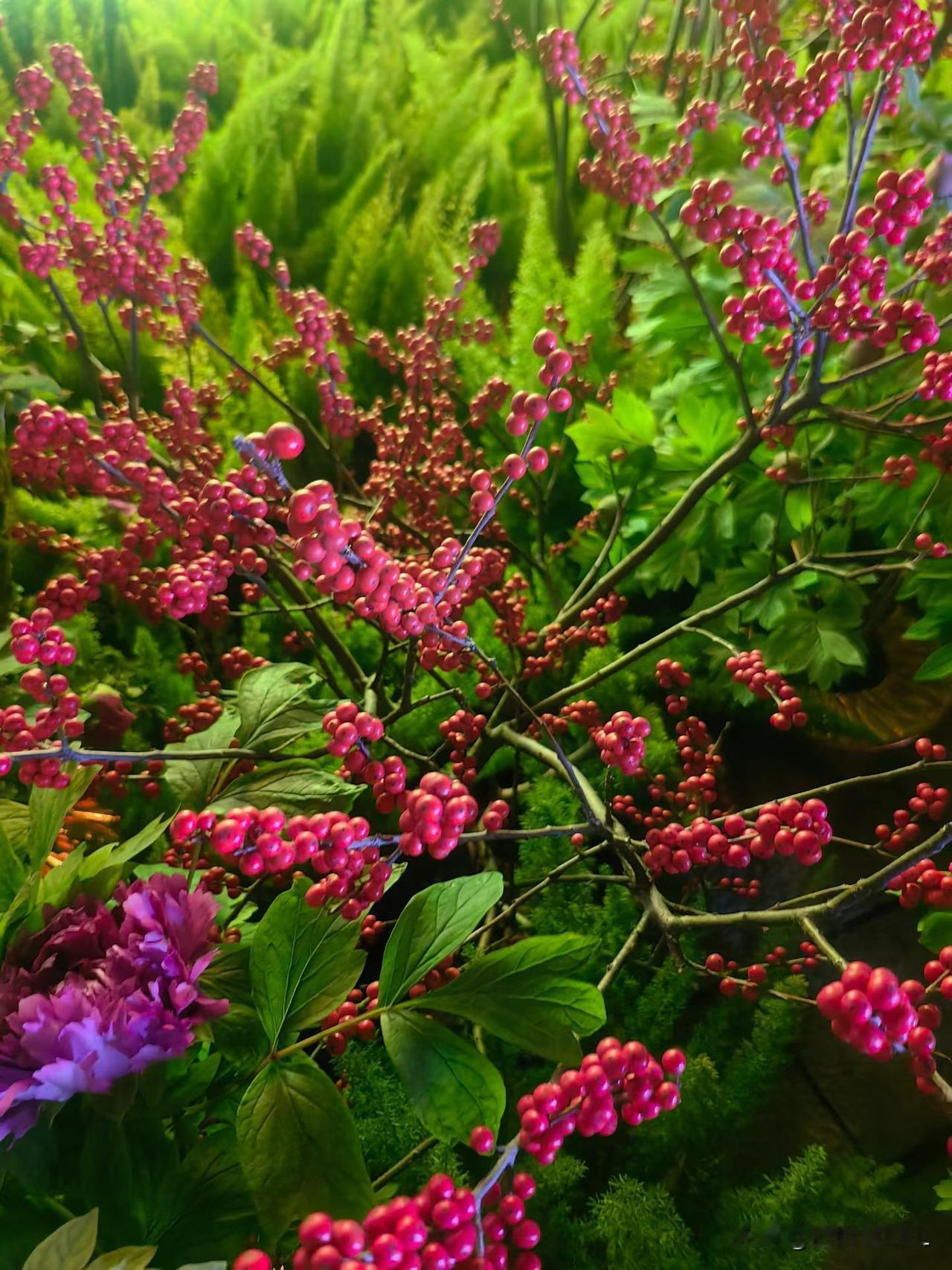 不要高估任何关系，就像别把重量都交给一根芦苇，但可以欣赏它在风中轻轻摇曳的样子。