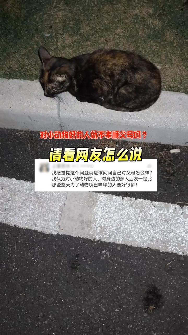 对小动物好的人就不孝顺父母吗？请看网友怎么说。
我感觉提这个问题就应该问问自己对