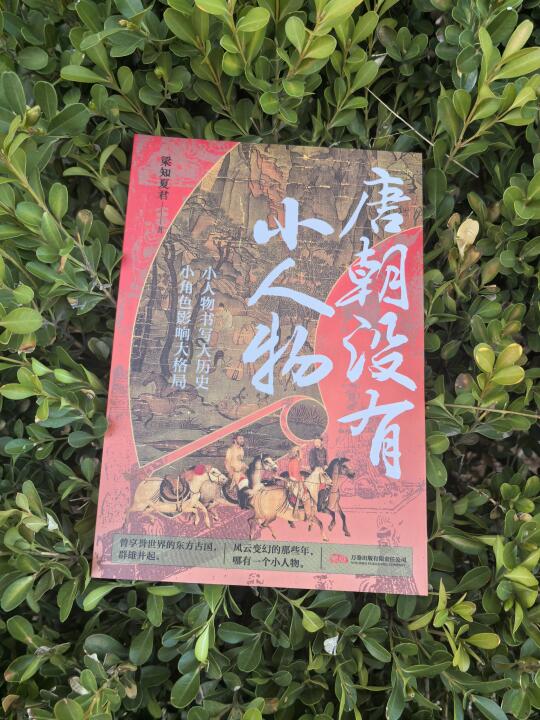 《唐朝没有小人物》：那些激荡三百年的英雄