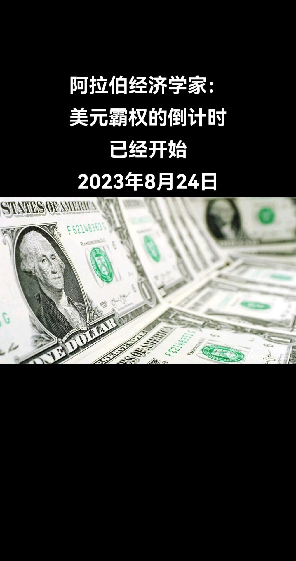俄罗斯联邦政府财政金融大学教授、经济学家努尔·纳达（Noor Nada）在接受卫