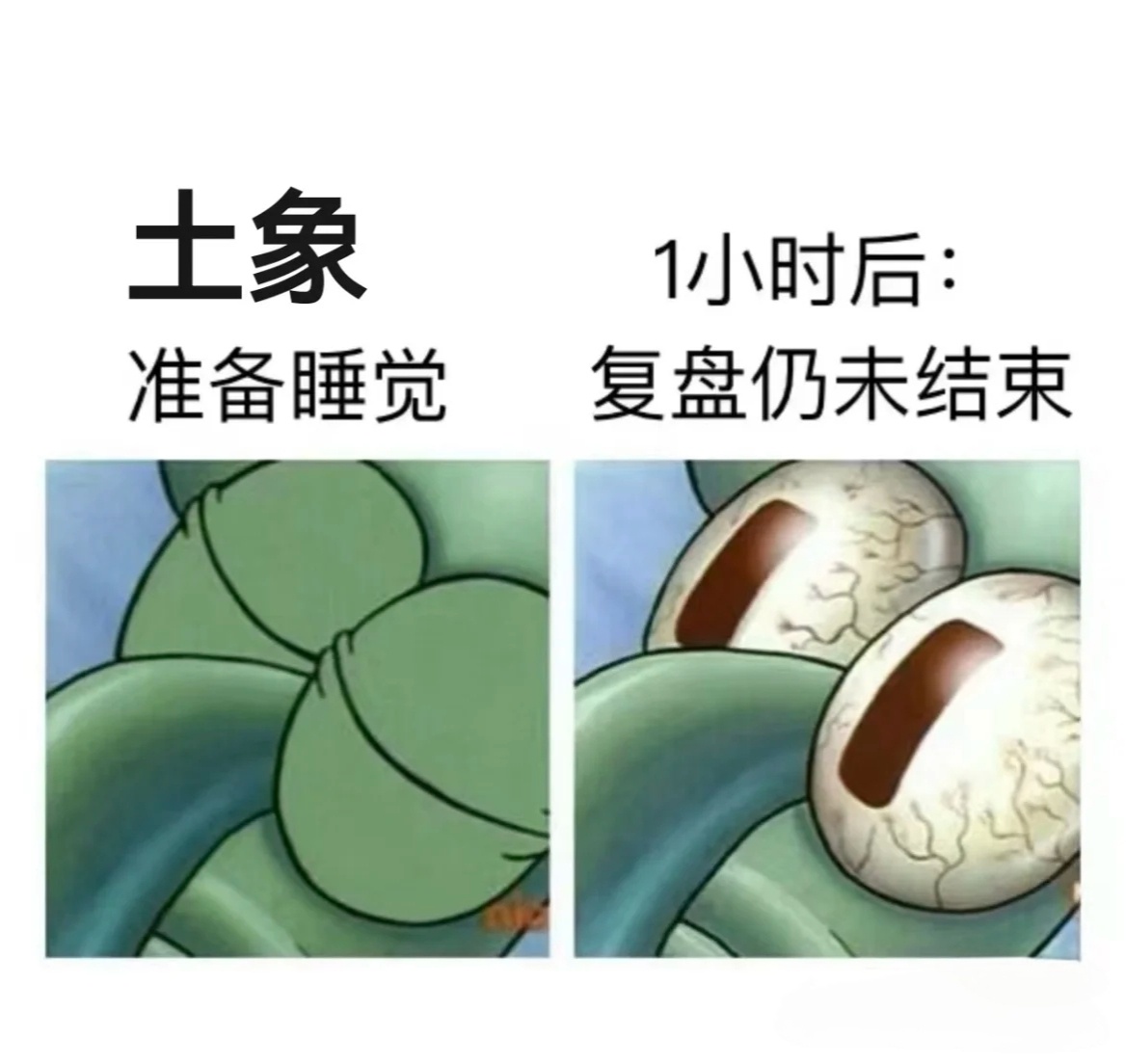 土象超绝名场面         #土象星座是最合格的前任# ​​​