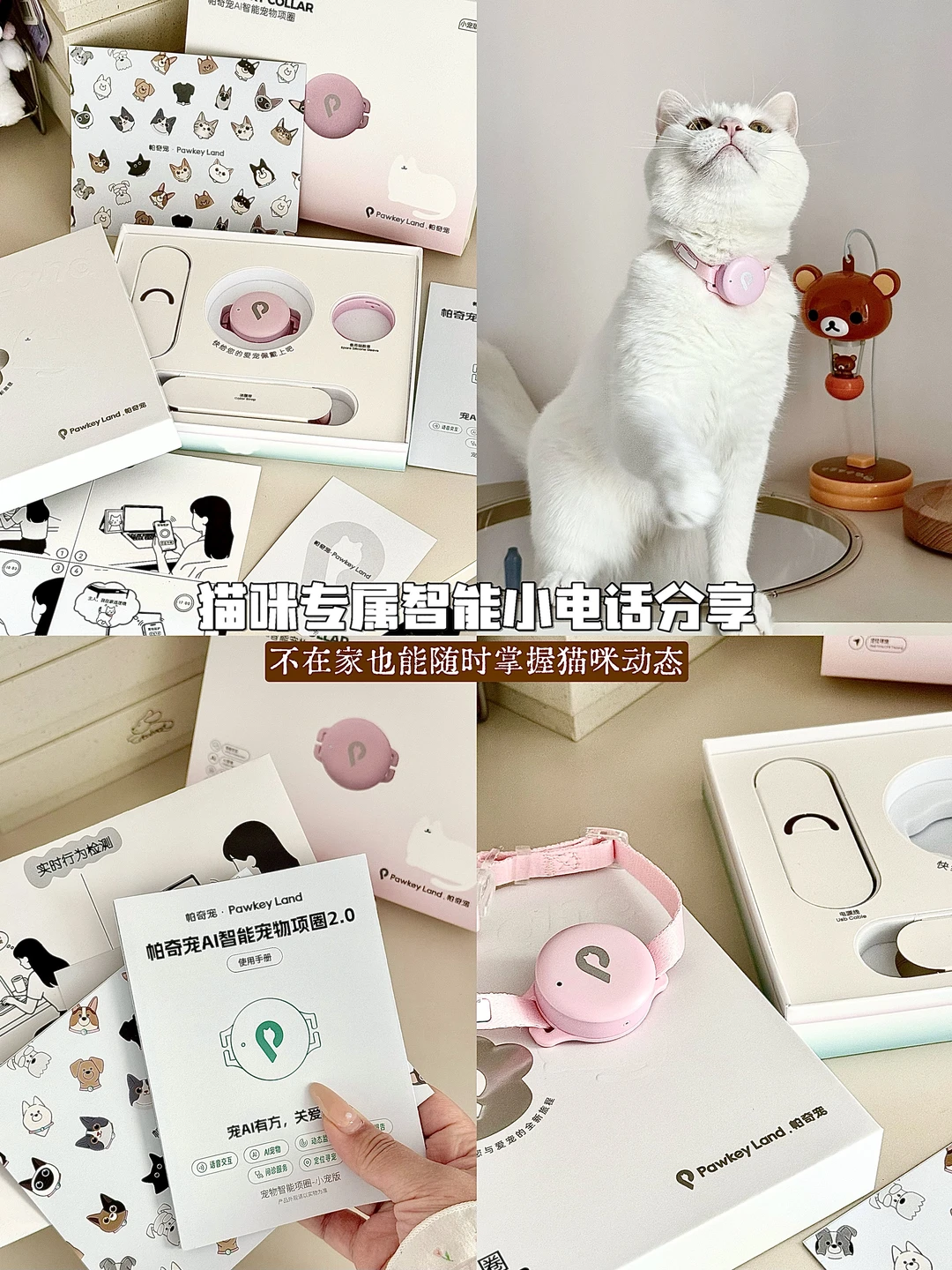 猫咪专属AI小管家 告别养宠焦虑👋