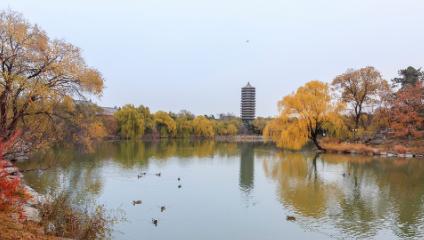 2026年考生多少分能上牡丹江医科大学？王牌专业、就业前景全解析
家有高考生的，