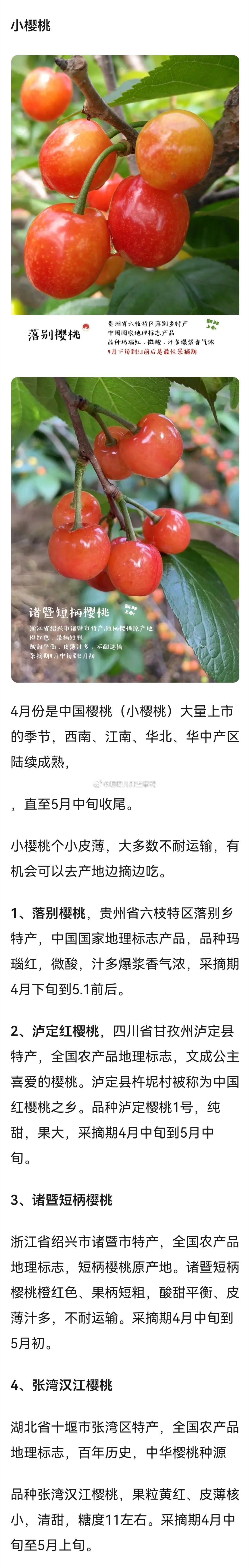 好帖→4月应季水果吃什么，详细解说版～