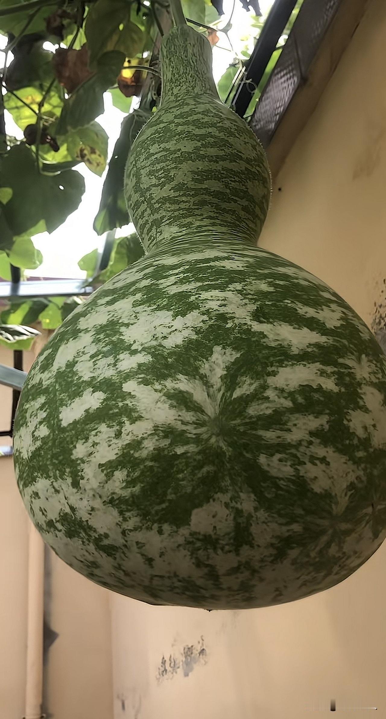 【唯道心语】“死”过一次：我才学会珍惜一切

人这一生，大多是身在福中不知福。