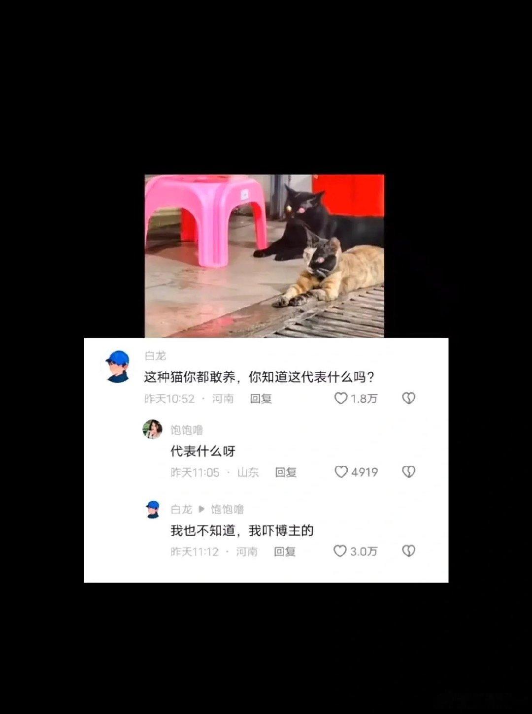 #搞笑#网友才是生活里的段子手… ​​​