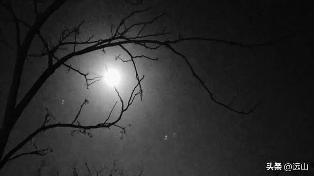 8O年代，小村发生一件离谱的怪事。村外，晒谷场上的几个杉木棺材大板，一夜之间，莫