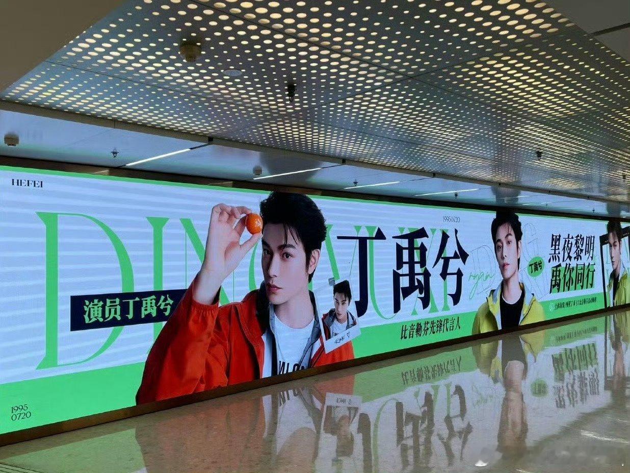 丁禹兮合肥  dyx 丁禹兮他不懂  线下的海棠宝宝见面的同时也一定注意安全呀，