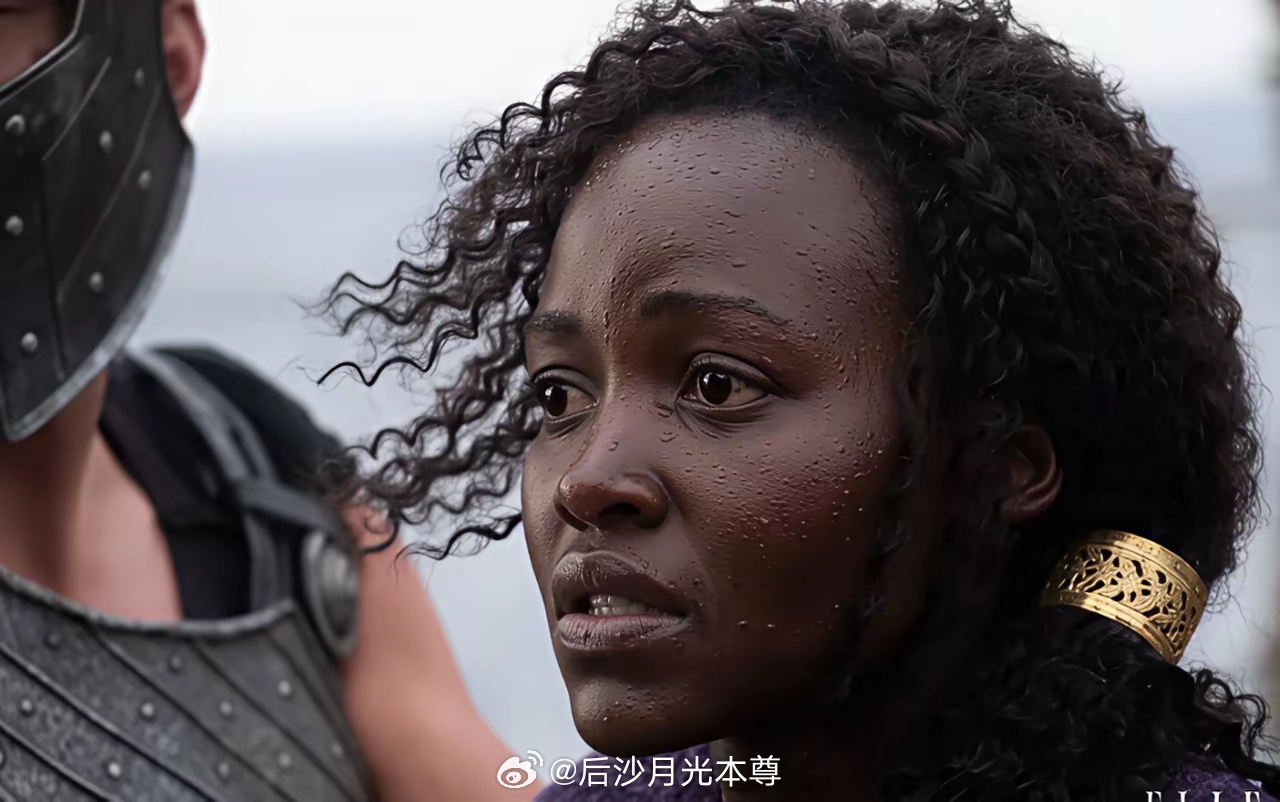 诺兰的新片《奥德赛》，大家为了海伦杀的你死我活这些白左，说是为了多元，平等，其实