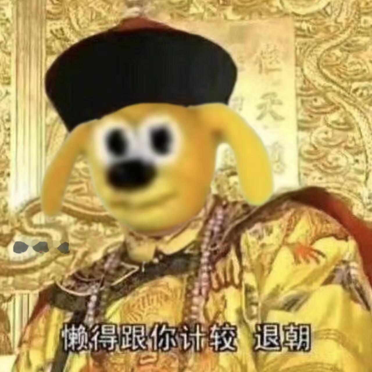 抽象表情包｜懒得跟你说 