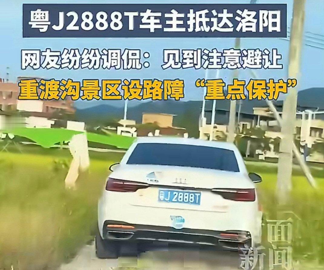 粤J2888T战绩全网可查是不是车主是女司机呀？好像这车基本外观啥的大大小小的都