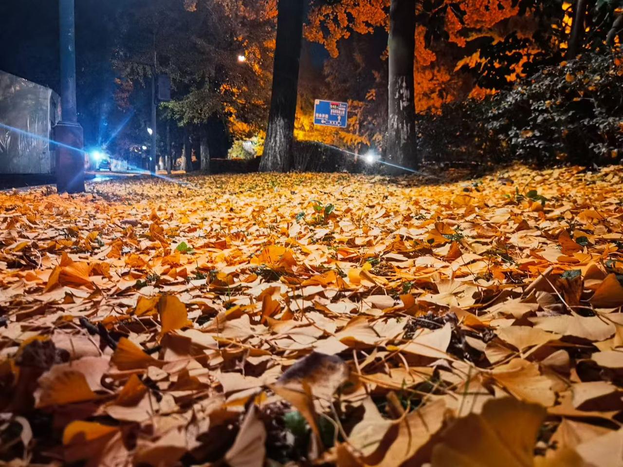 搞不懂四川人为啥白天不去摸螺蛳！喜欢晚上去摸，到一个四川朋友老家（农村）去耍，中