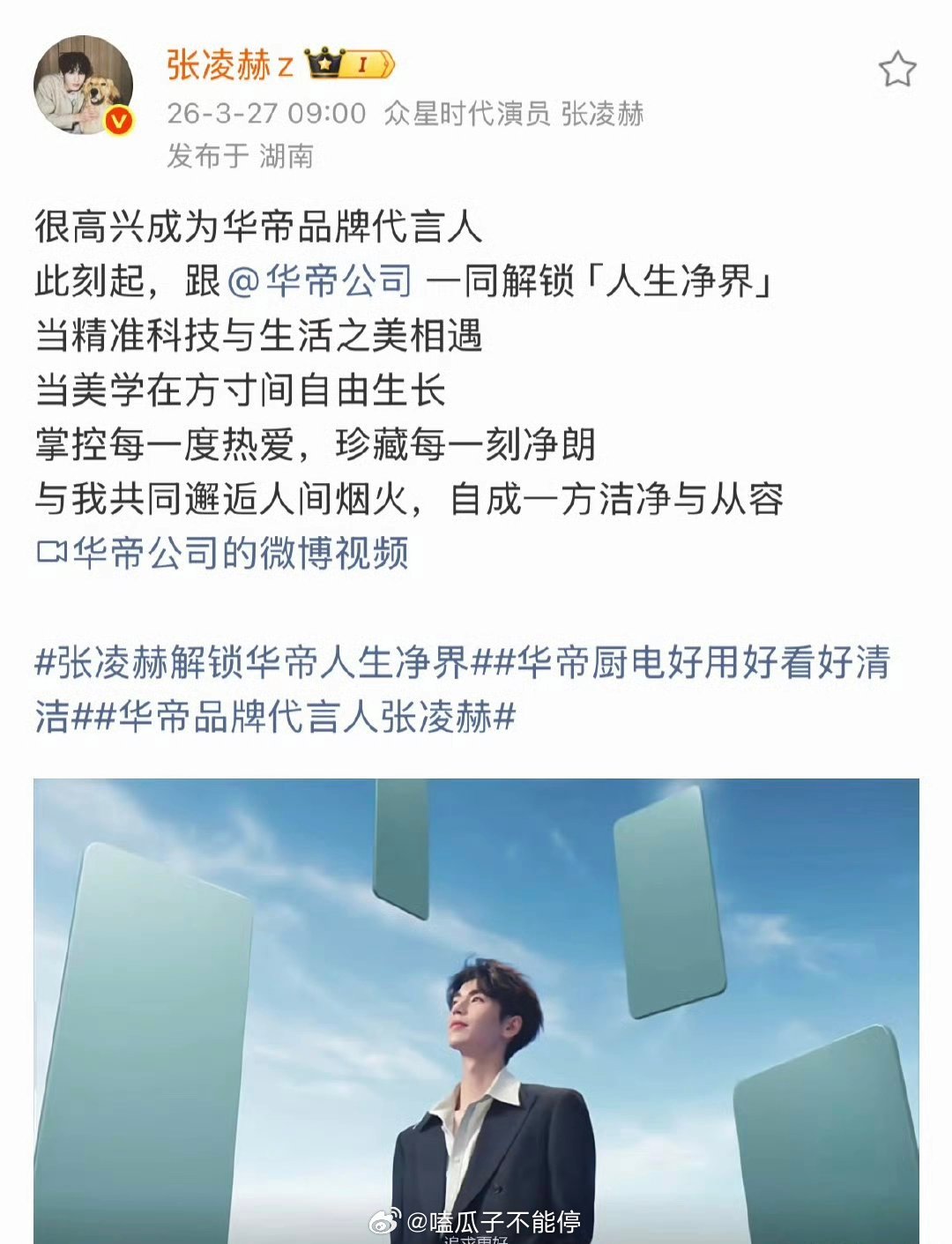 张凌赫华帝品牌代言人官宣