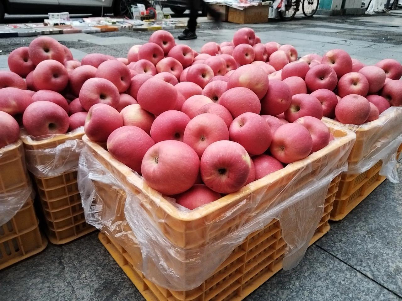 今天，继续卖苹果🍎🍎🍎🍎🍎🍎🍎🍎🍎🍎🍎🍎🍎🍎🍎🍎