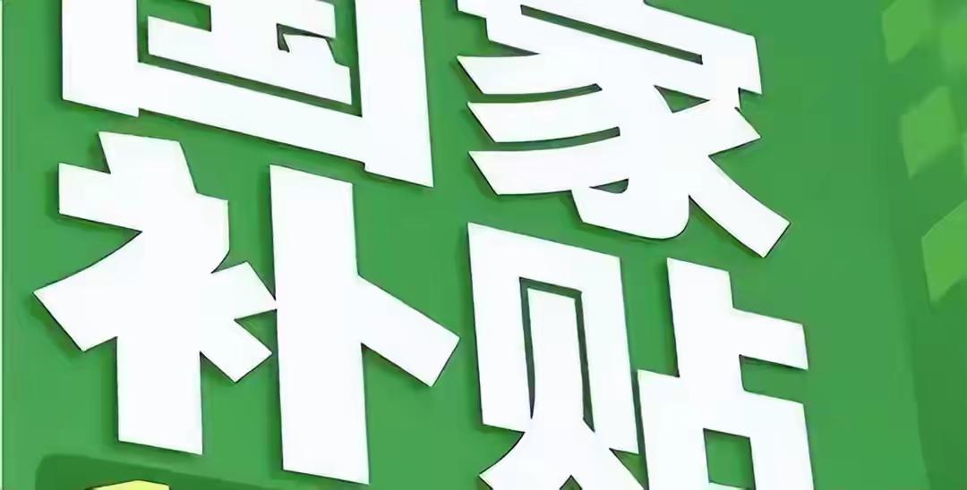 别被国补叫停的传闻带偏，真正的矛盾不是政策退出，而是如何堵住补贴被投机者钻空子的