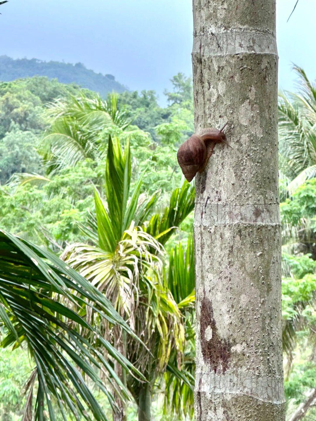 万宁🐌没门儿咖啡