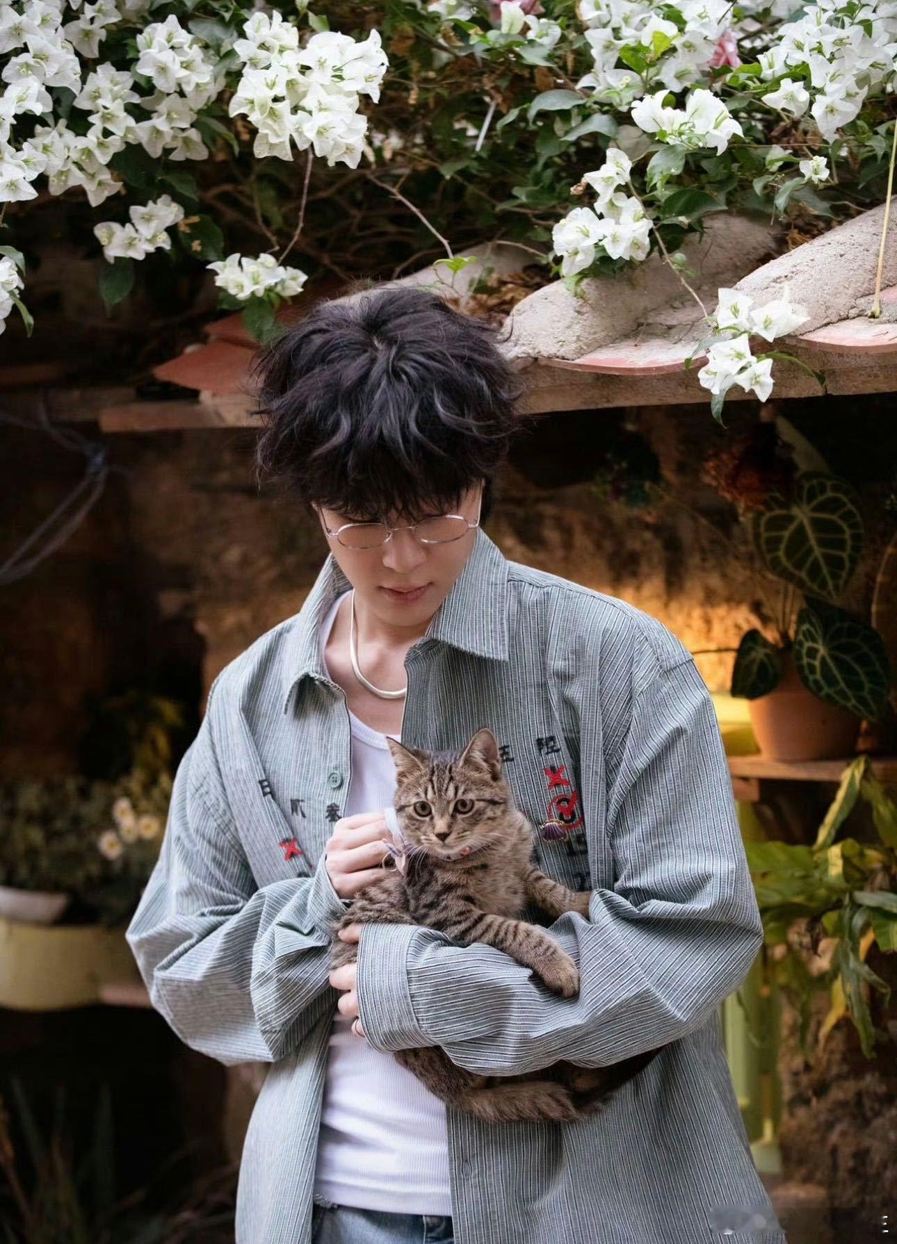 原来早安的新歌是写给流浪猫的 本来随便听听早安的新歌《踏雪》，结果被狠狠戳中，前