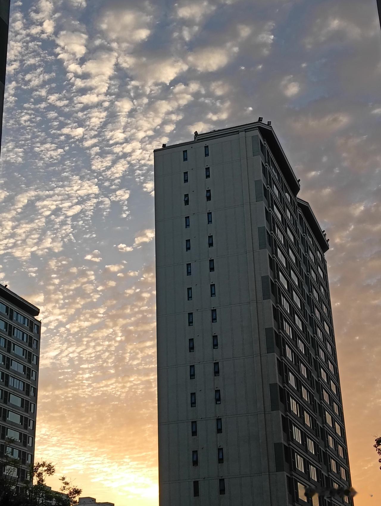 城市黄昏，那是一场绝美的盛宴。当夕阳西下，余晖洒在城市的高楼大厦上，整个城市仿佛