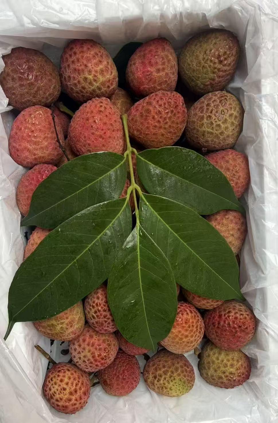 春天的花儿与少年，春天的歌海舞翩翩，春天的菜品味道美，春天的酒儿使人醉。