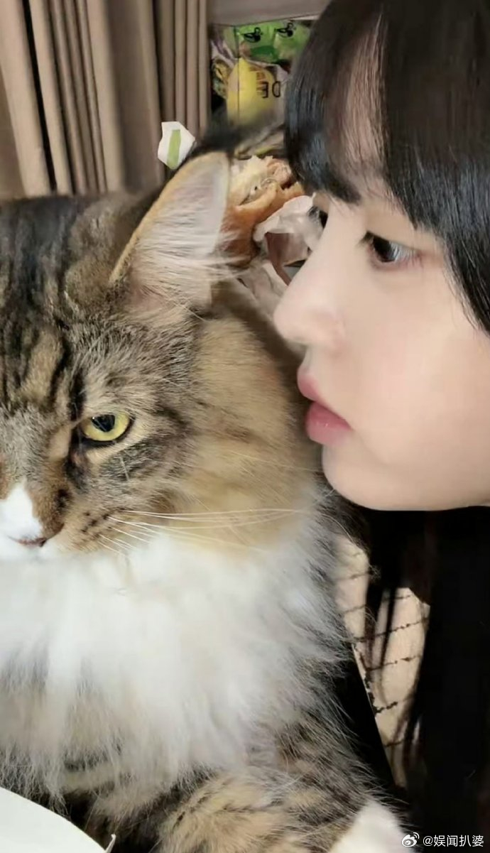 真瓜主🍉！有一只小猫有问必答[举手]先是子夜归已经完成录音，再是低智商犯罪也很