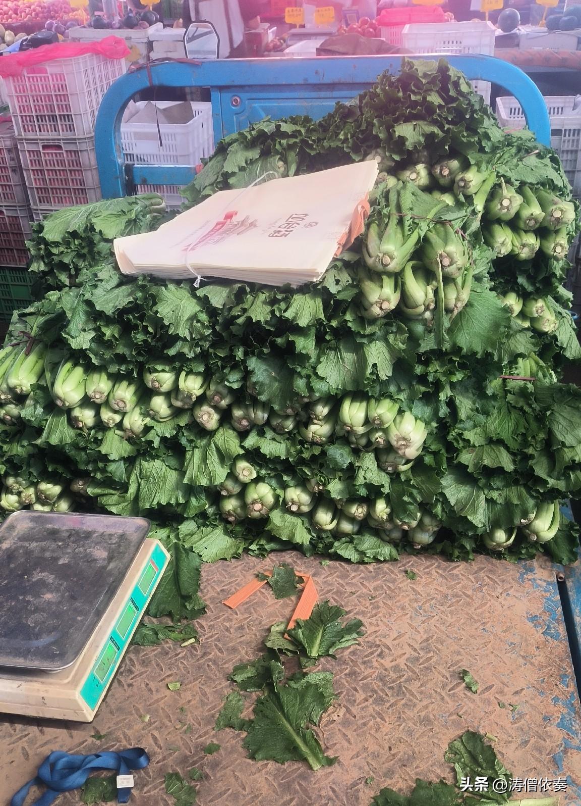 保定菜市场的趣事：摊主叫它青麻叶，AI却说这是芥菜

今天去菜市场买菜，碰见件挺