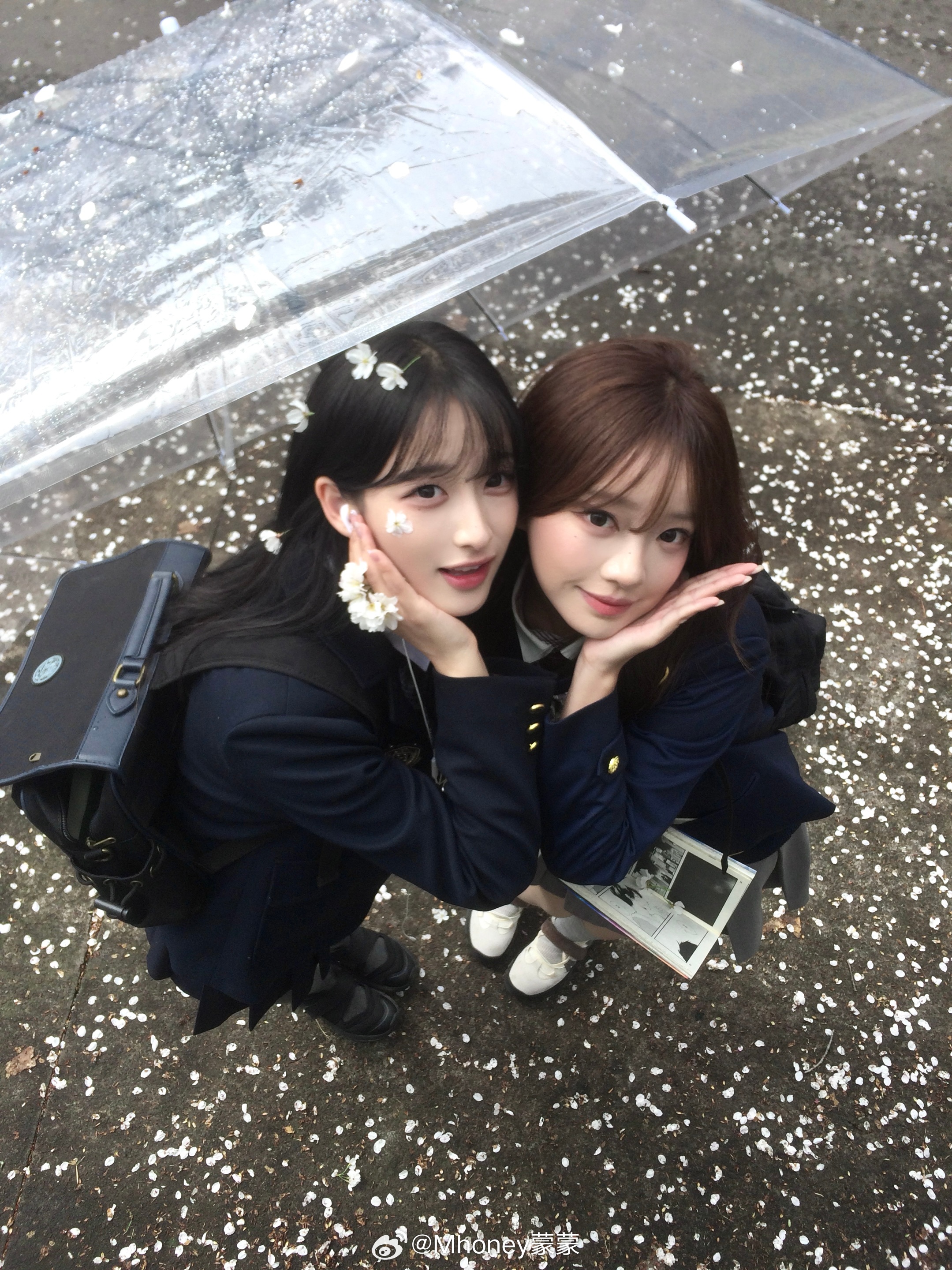 自动播放ditto…💿 