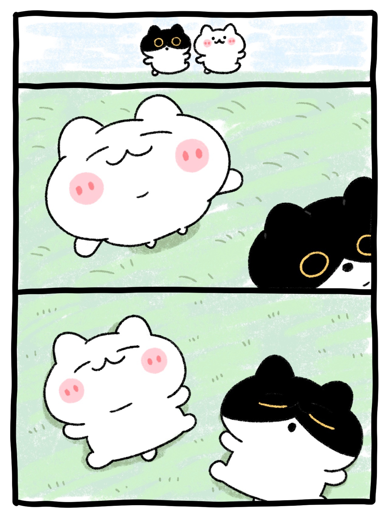 最近的风也是暖和的风了 ​​​