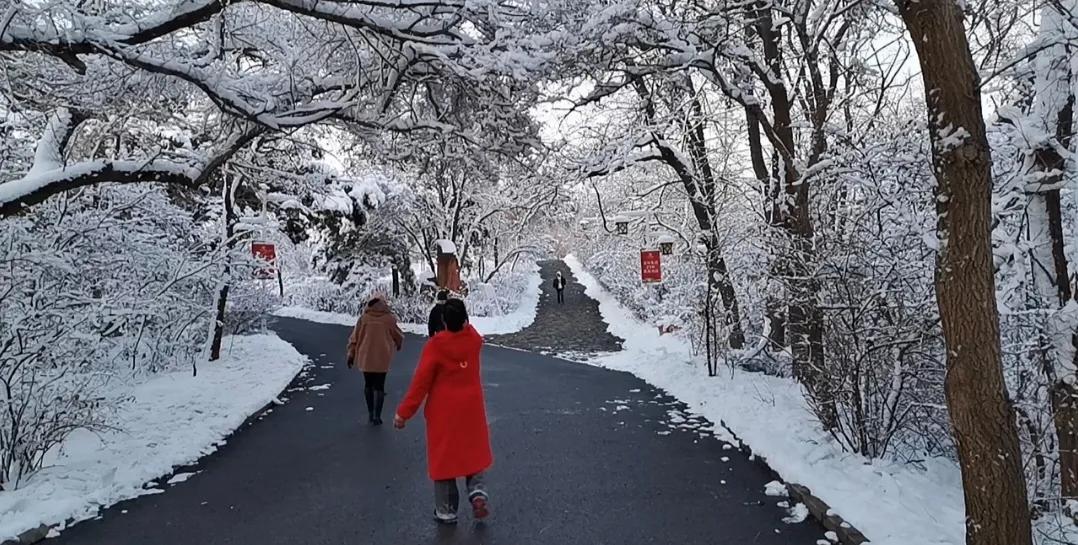 踏着洁白的雪前行，听着卡卡踩雪的脚步声，漫步感受了冬天淡雅与宁静的那种不一样的时