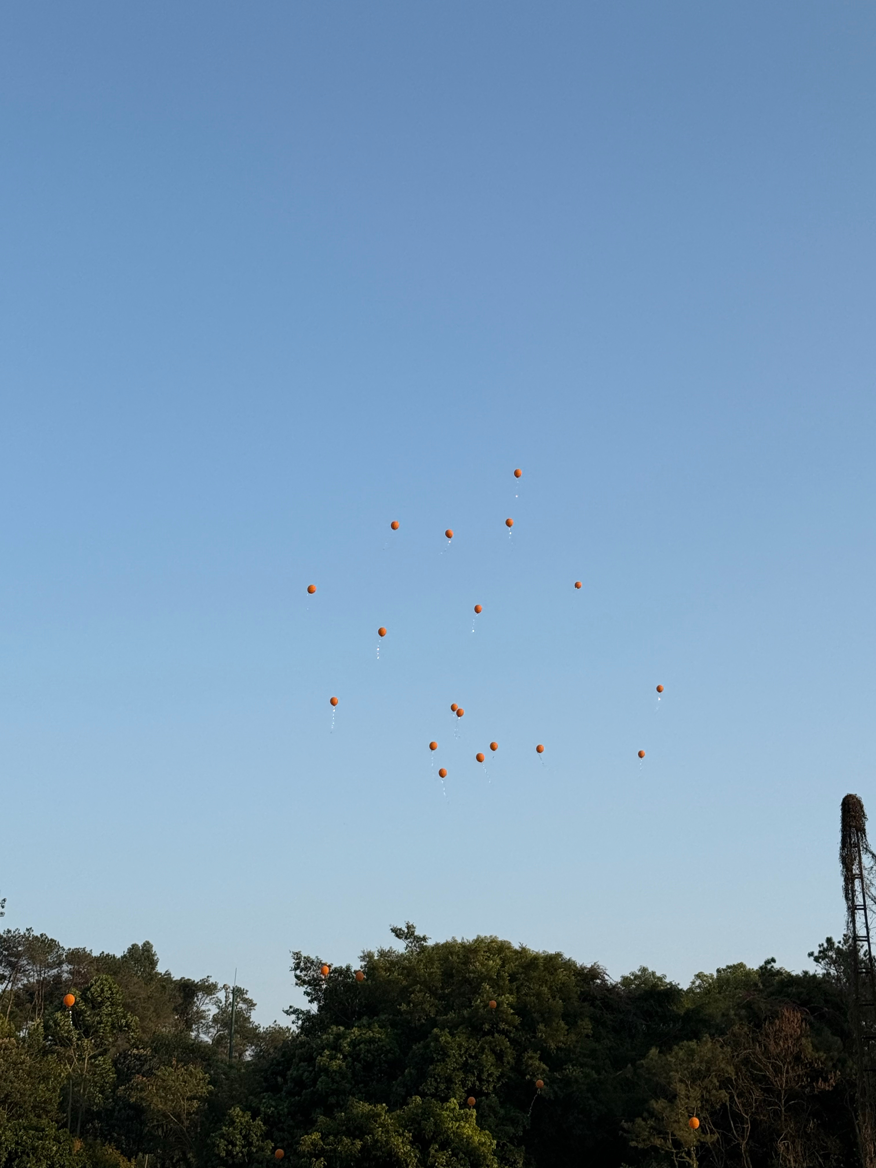 时间来到这里，是时候跟大家说晚安啦今天金价又在高位转了个小圈，账户跟着晃悠了一天