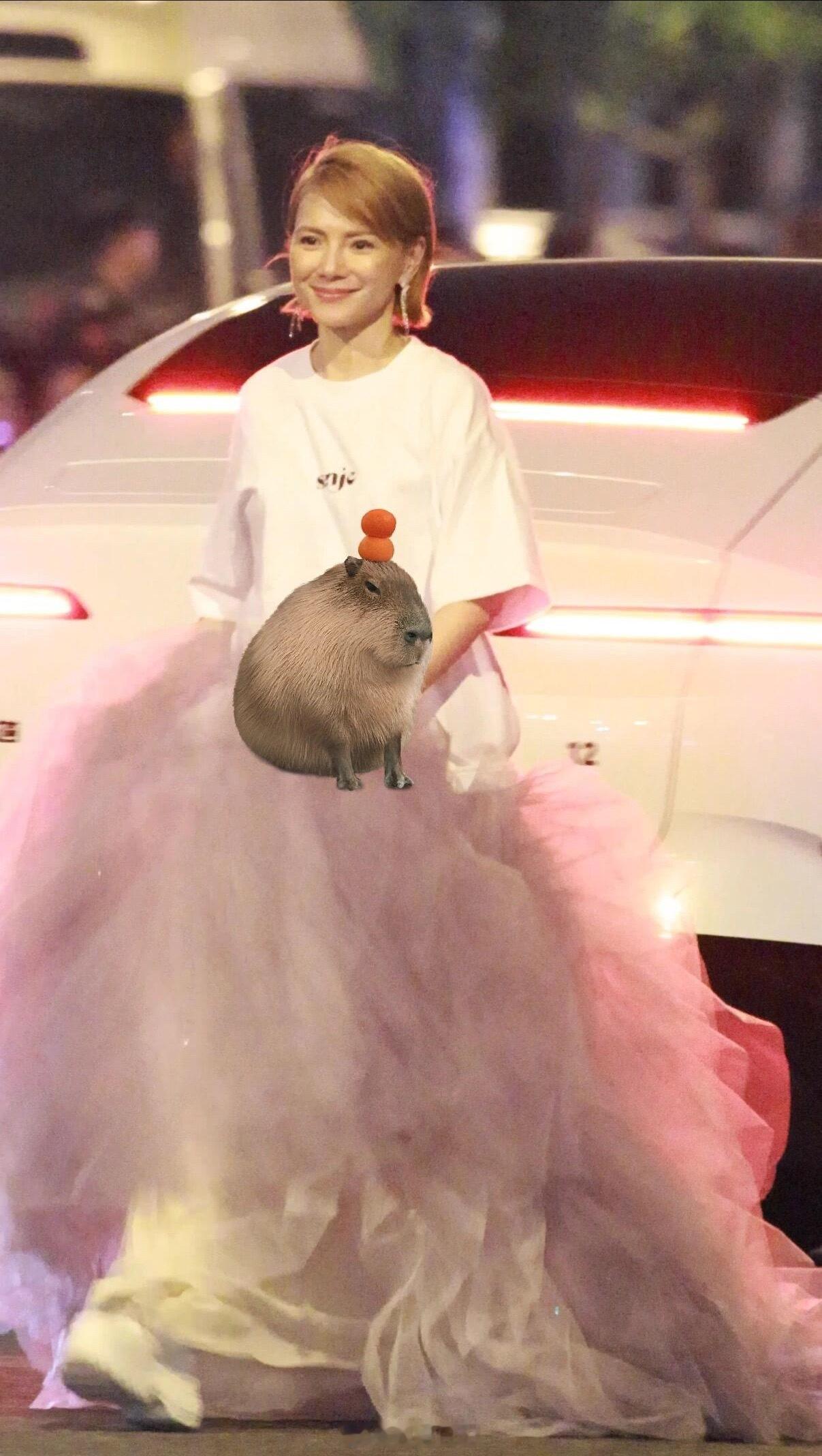 李心洁姐姐转场路透！《海屿你》妆造🈶浪姐直播浪姐日记浪姐
